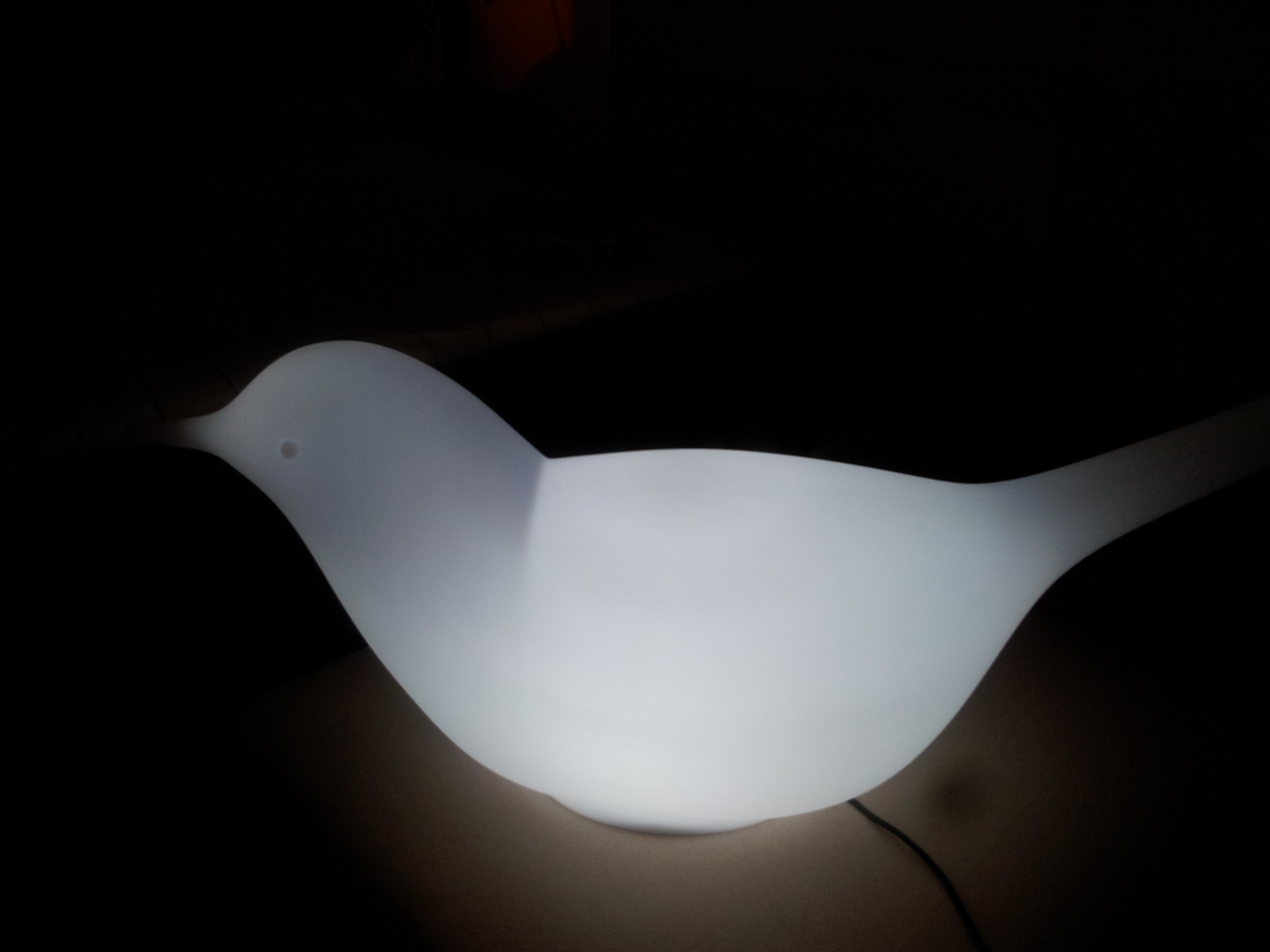 Giardino d'interno : vaso luminoso, insolita paloma, spiga appendiabiti e un porcino come sgabello